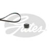 GATES K014PK905 V-Ribbed Belt Set